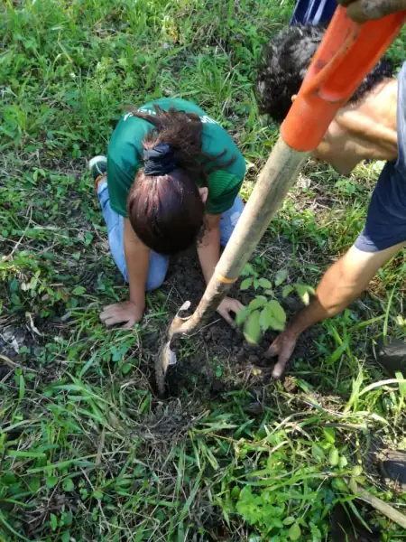 Cabuya project - Before restoration