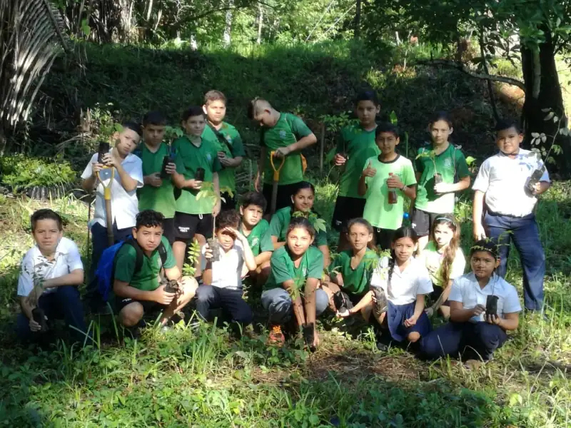 Cabuya project - After restoration